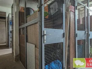 Pronájem bytu 1+kk, Praha, Bachova, 35 m2