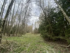 Prodej pozemku, Volfířov - Brandlín, 5958 m2