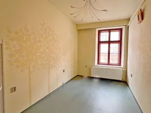 Pronájem obchodního prostoru, Hranice - Hranice I-Město, Radniční, 299 m2