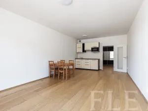 Pronájem bytu 1+kk, Praha - Michle, Nuselská, 43 m2