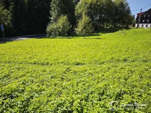 Prodej pozemku pro bydlení, Lučany nad Nisou, 1528 m2