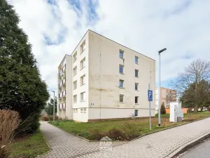 Prodej bytu 3+1, Velké Opatovice, Hliníky, 75 m2