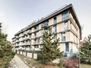 Prodej bytu 2+kk, Praha - Žižkov, Na Vackově, 53 m2