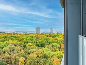 Prodej bytu 1+kk, Praha - Žižkov, Olšanská, 35 m2