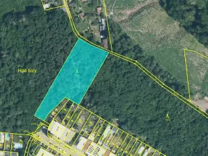 Prodej podílu lesa, Brno, Kupkova, 1313 m2