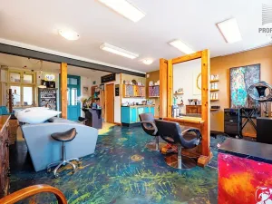 Prodej vícegeneračního domu, Brno, Otakara Ševčíka, 190 m2