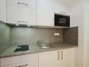 Pronájem bytu 2+kk, Praha - Staré Město, Kozí, 125 m2