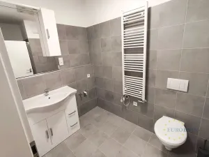 Pronájem bytu 1+kk, Praha - Vysočany, Kabešova, 44 m2