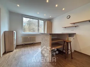 Pronájem bytu 1+1, Desná, Poštovní, 36 m2