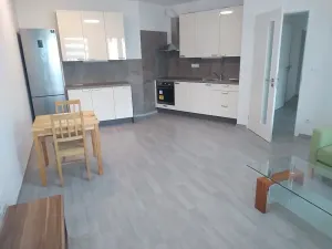 Pronájem bytu 3+kk, Praha - Žižkov, Olgy Havlové, 71 m2