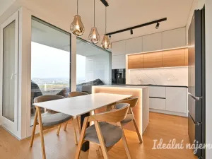 Pronájem bytu 3+kk, Brno, třída Generála Píky, 91 m2