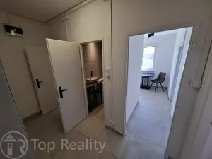 Pronájem bytu 1+1, Chodov, Revoluční, 37 m2