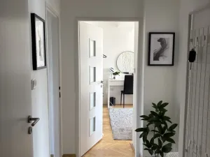 Pronájem bytu 3+1, Opava - Předměstí, Olomoucká, 65 m2