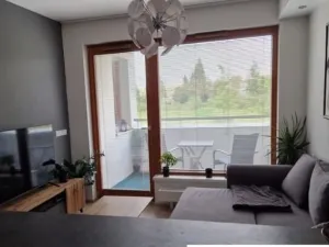 Pronájem bytu 2+kk, České Budějovice, U Lučního jezu, 50 m2