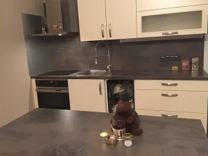 Pronájem bytu 2+kk, Liberec, Gorkého, 73 m2