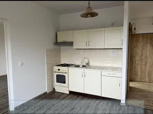 Pronájem bytu 1+1, Ústí nad Labem, Zvonková, 38 m2