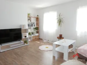 Pronájem bytu 1+1, Děčín - Děčín XXI-Horní Oldřichov, Alešova, 56 m2