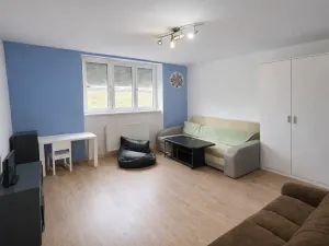 Prodej bytu 2+1, Březová, Odborářů, 46 m2