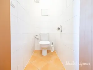 Pronájem bytu 2+kk, Praha - Libeň, Kovanecká, 53 m2