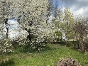 Prodej pozemku pro bydlení, Bystročice - Žerůvky, 1247 m2