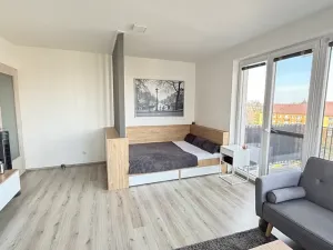Pronájem bytu 1+kk, Pardubice, Pod Vinicí, 36 m2