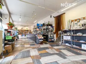 Prodej obchodního prostoru, Frýdlant nad Ostravicí, Komenského, 206 m2