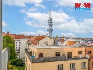 Prodej bytu 2+1, Praha - Žižkov, Baranova, 85 m2