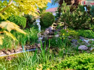 Prodej ubytování, Chlum u Třeboně, Chelčického, 286 m2