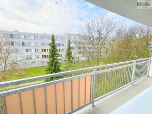 Prodej bytu 3+1, Bílina - Pražské Předměstí, Aléská, 64 m2