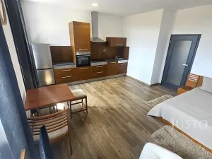 Pronájem bytu 1+kk, Písek, Vladislavova, 40 m2