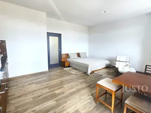 Pronájem bytu 1+kk, Písek, Vladislavova, 40 m2