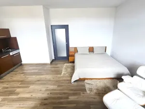 Pronájem bytu 1+kk, Písek, Vladislavova, 40 m2