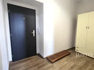 Pronájem bytu 1+1, Písek, Vladislavova, 40 m2