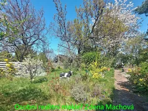 Prodej chaty, Praha, Na Balkáně, 7 m2