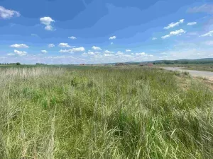 Dražba louky, Kravaře, 2873 m2