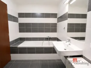 Pronájem bytu 3+kk, Plzeň - Bolevec, U Velkého rybníka, 66 m2