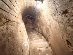 Prodej zahrady, Šatov, 875 m2