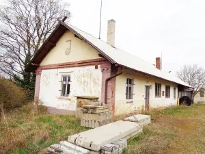 Prodej komerčního pozemku, Jesenice, Rekreační, 10738 m2