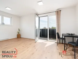 Pronájem bytu 1+kk, Heřmanova Huť - Vlkýš, U Pondu, 35 m2