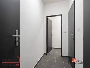 Pronájem bytu 1+kk, Heřmanova Huť - Vlkýš, U Pondu, 35 m2