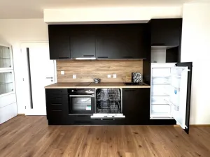 Pronájem bytu 1+kk, Heřmanova Huť - Vlkýš, U Pondu, 35 m2