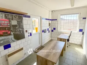 Pronájem výrobních prostor, Šanov, Zahradní, 135 m2