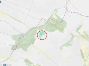 Prodej lesa, Rychnov na Moravě, 5546 m2