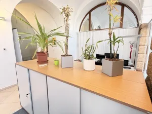 Pronájem kanceláře, Olomouc, Dolní náměstí, 204 m2