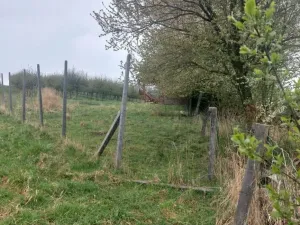 Prodej pozemku, Polom, 9766 m2