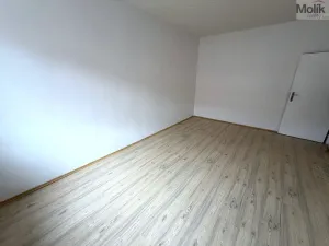 Pronájem bytu 2+1, Most, Vítězslava Nezvala, 58 m2