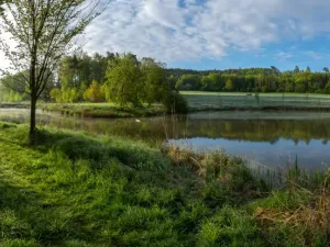 Pronájem chaty, Kněžmost - Suhrovice, 60 m2