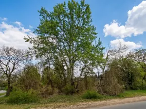 Prodej pozemku pro bydlení, Praha, Šlechtitelská, 924 m2