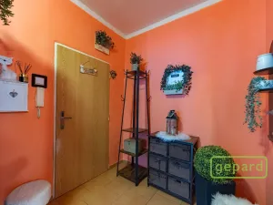 Prodej bytu 2+1, Ostrov, S. K. Neumanna, 54 m2