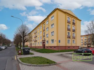 Prodej bytu 2+1, Ostrov, S. K. Neumanna, 54 m2